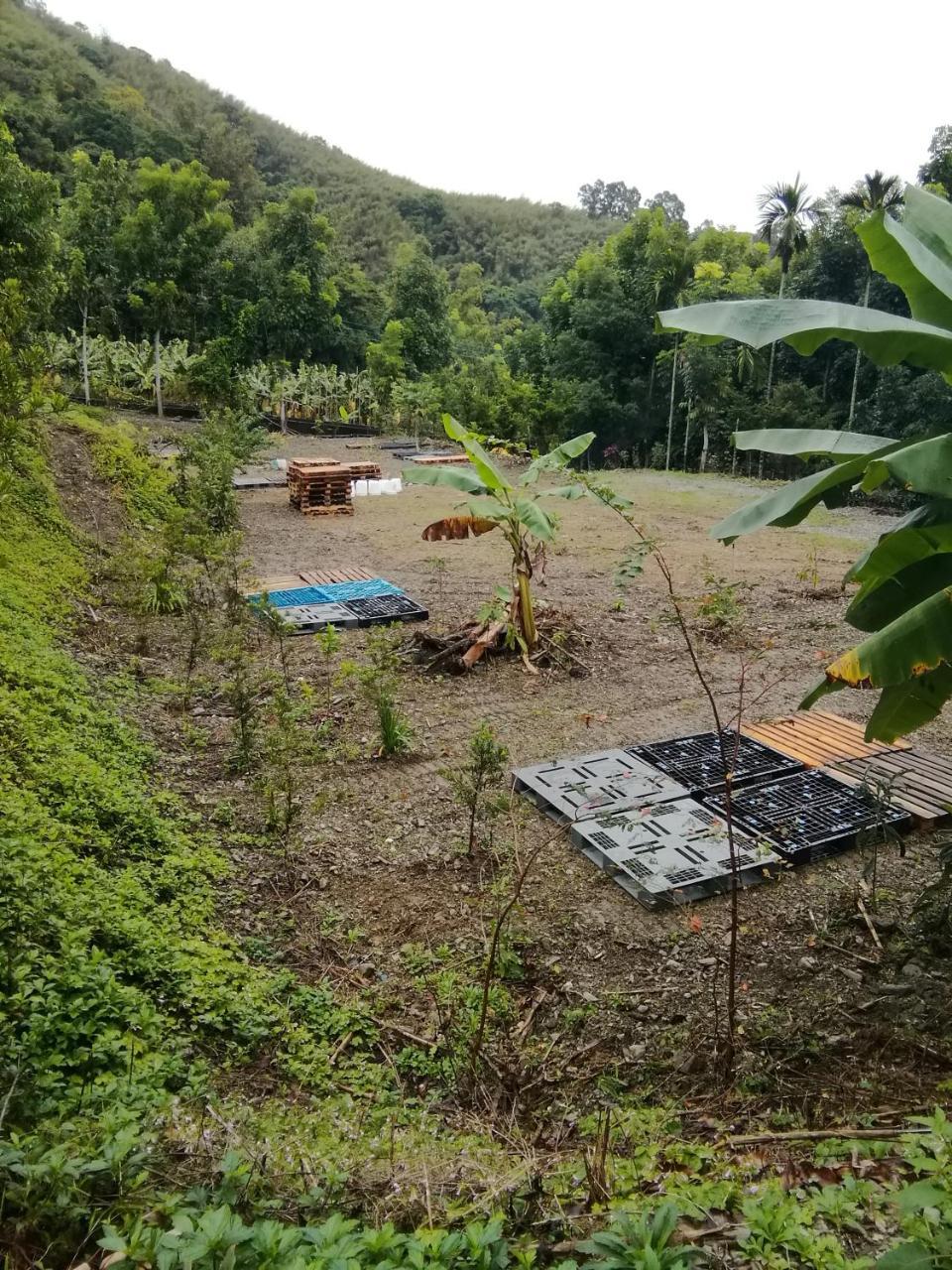 台東民宿 關山桃花心木民宿農場 Гуаншан Екстериор снимка
